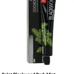 Splat Blackwood Dark Mint Toothpaste 75ml